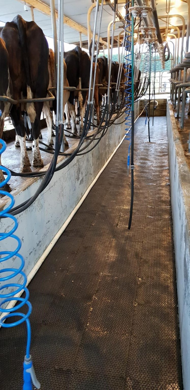 DairyFlo Floor Mat