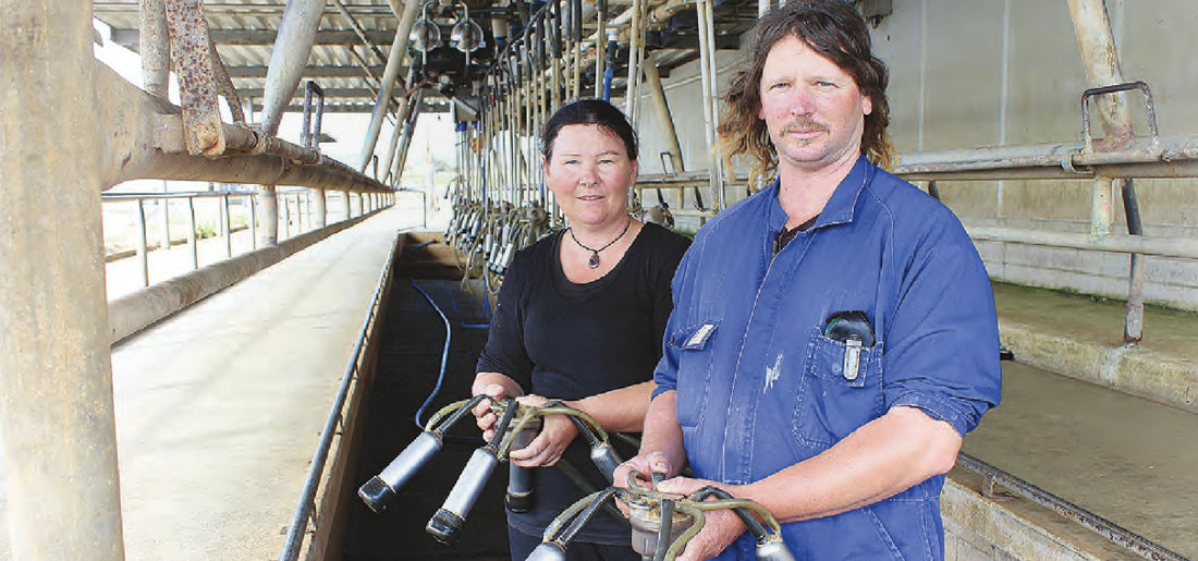 Plastic Fantastic Saves Time, Money in Sheds