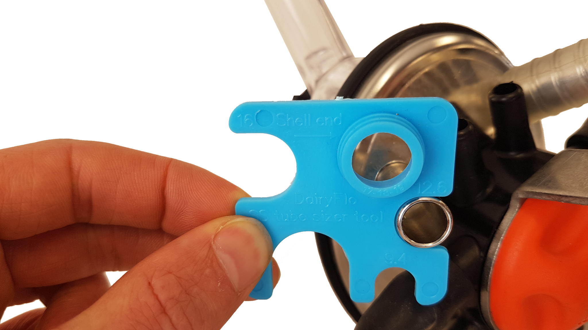 Free Sizer Tool